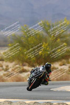 media/Apr-10-2022-SoCal Trackdays (Sun) [[f104b12566]]/Turn 5 Tree of Life (1040am)/